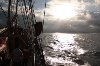 Rejs s/y Zawiszą Czarnym. Kalmar, listopad 2010 r.